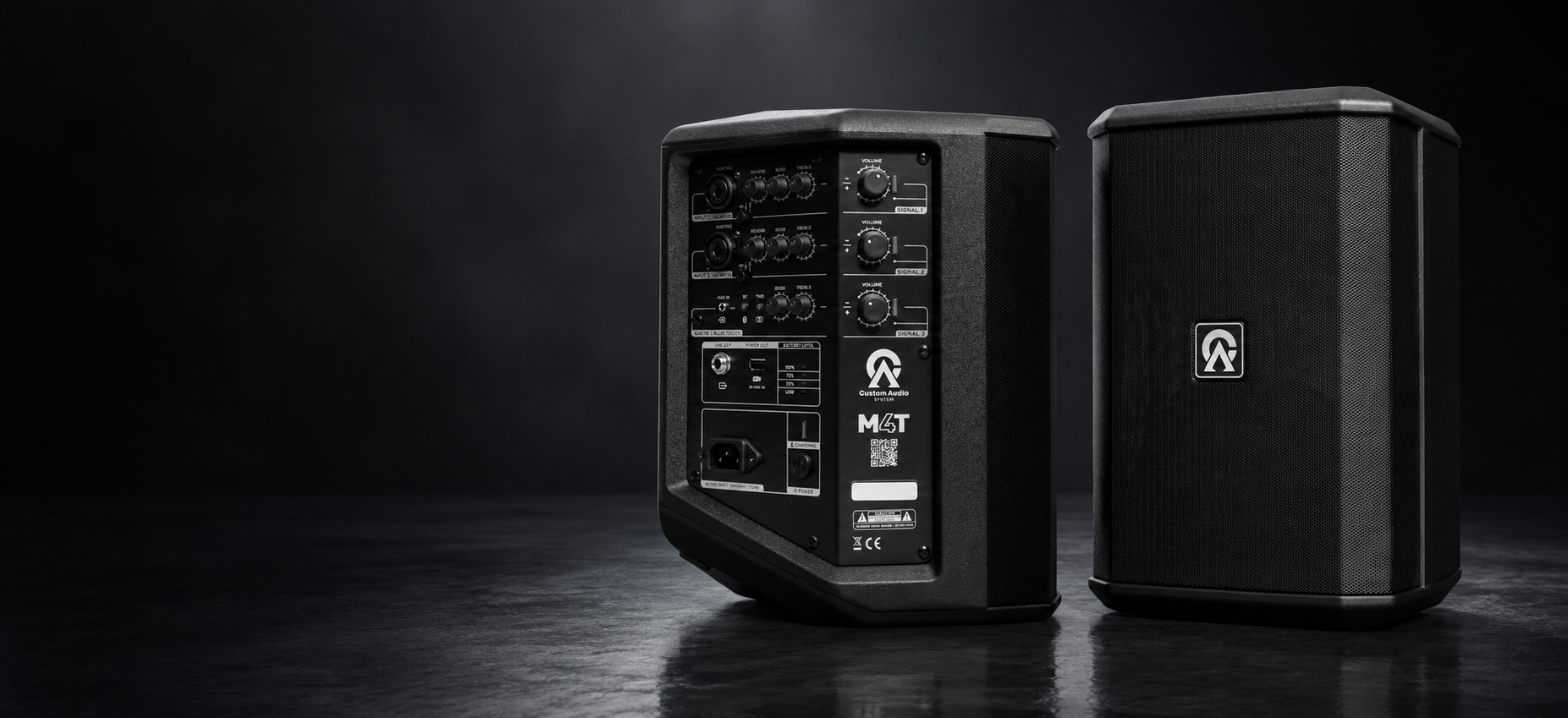 Audio profesional Custom Audio System